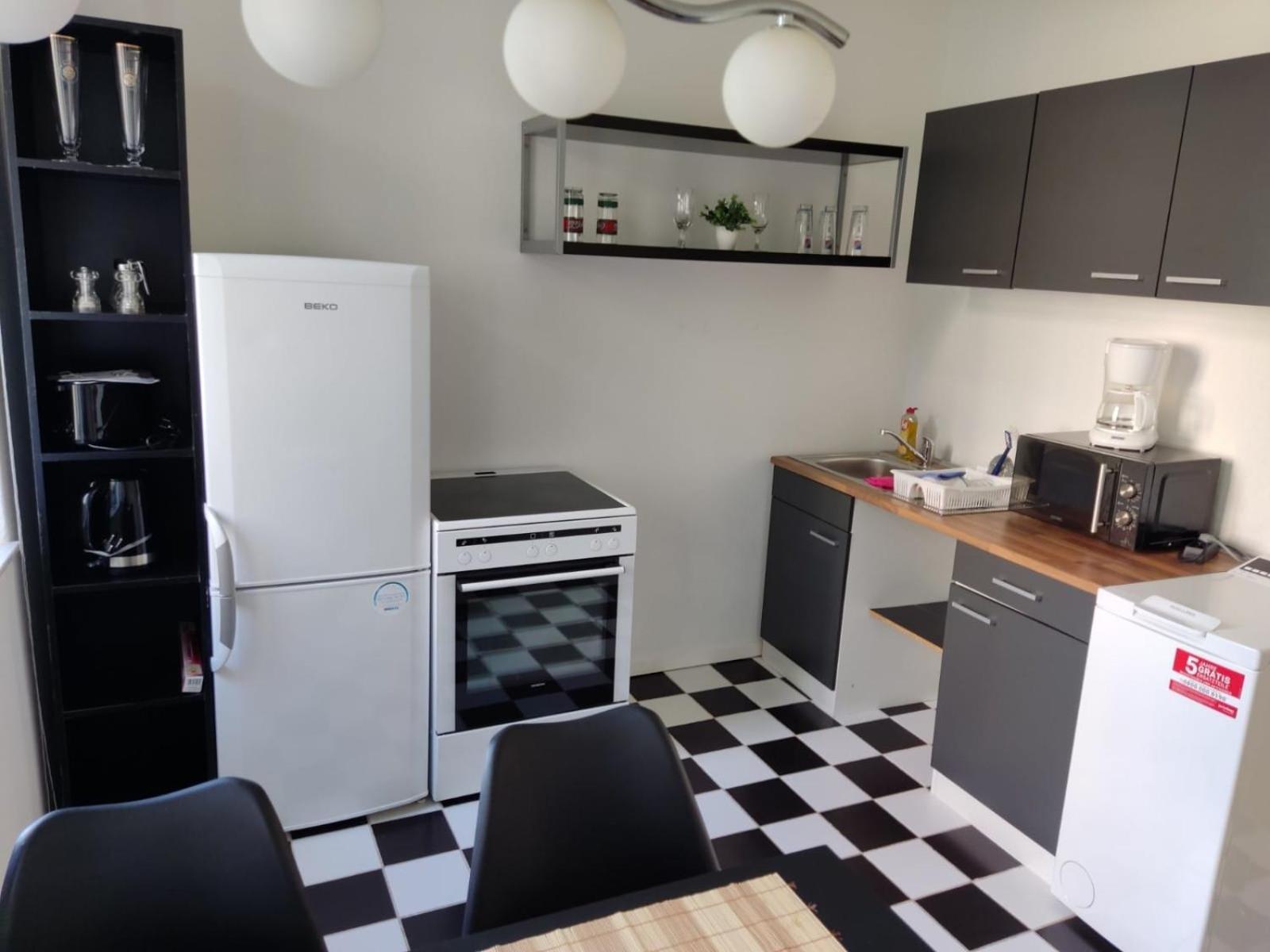 Flex Aparts - Grosse, Moeblierte Wohnung In Zwickau Mit 2 Zimmern Exterior photo